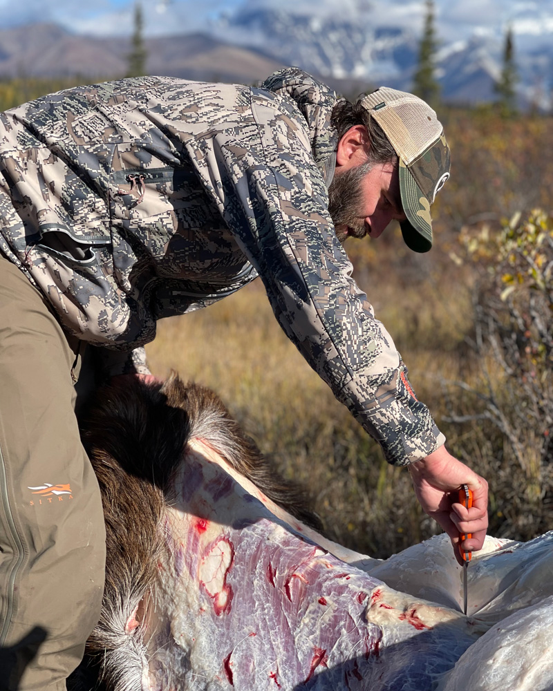 Jack-Carr-skinning