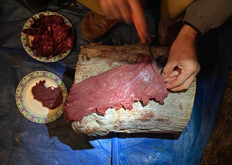 meat-the-log-2