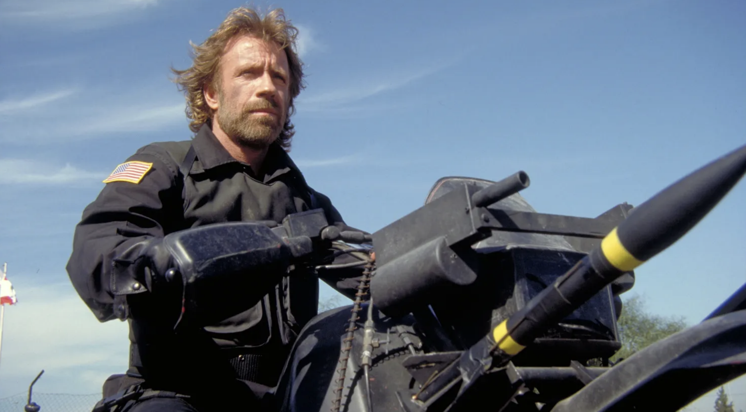 THE DELTA FORCE THE DELTA FORCE